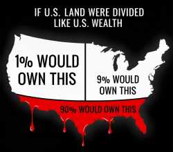 none of the politicians will save us