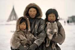 Where do White people actually come from?