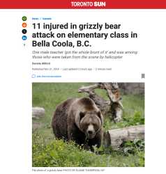 Bear mauls 11 people in BC Canada